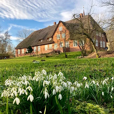 Nordseeestate - Unter Reet Mit Sauna