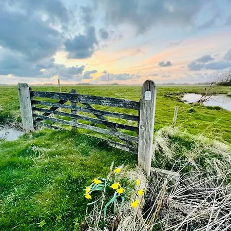 Nordseeestate - Unter Reet Mit Sauna